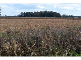 Property photo 78 - EHLE FARMS AUCTION - 118+/- ACRES IN 9 TRACTS IN ALLEN COUNTY, INDIANA